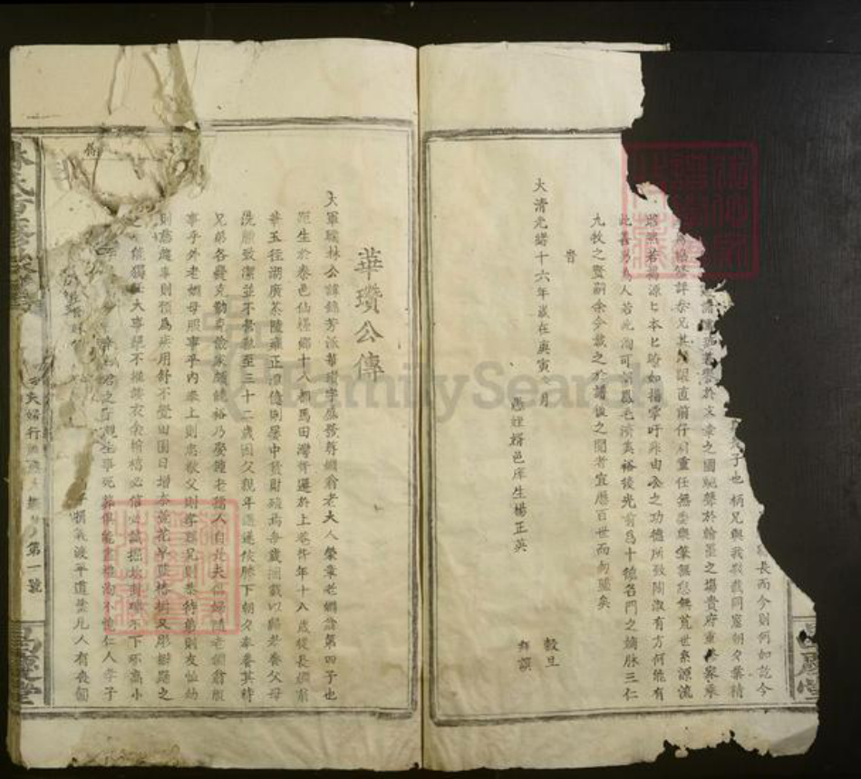 江西省赣州市赣县区林氏族谱-林氏重修族谱.pdf电子版插图2