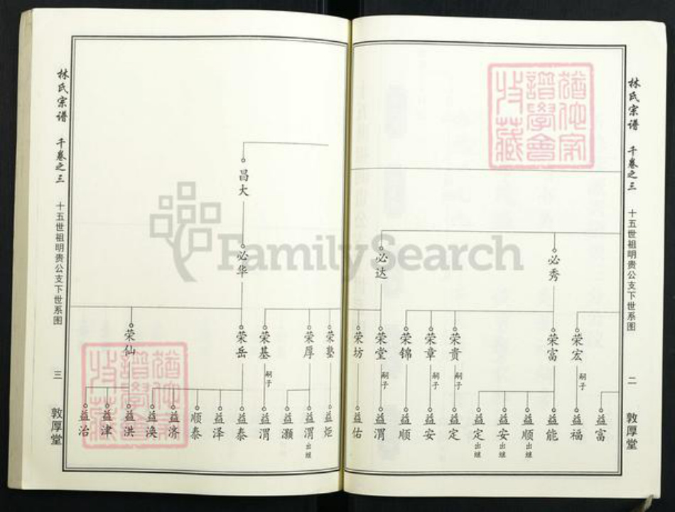湖北省林氏族谱-林氏宗谱.pdf电子版插图4 湖北省林氏族谱-林氏宗谱.pdf电子版插图4