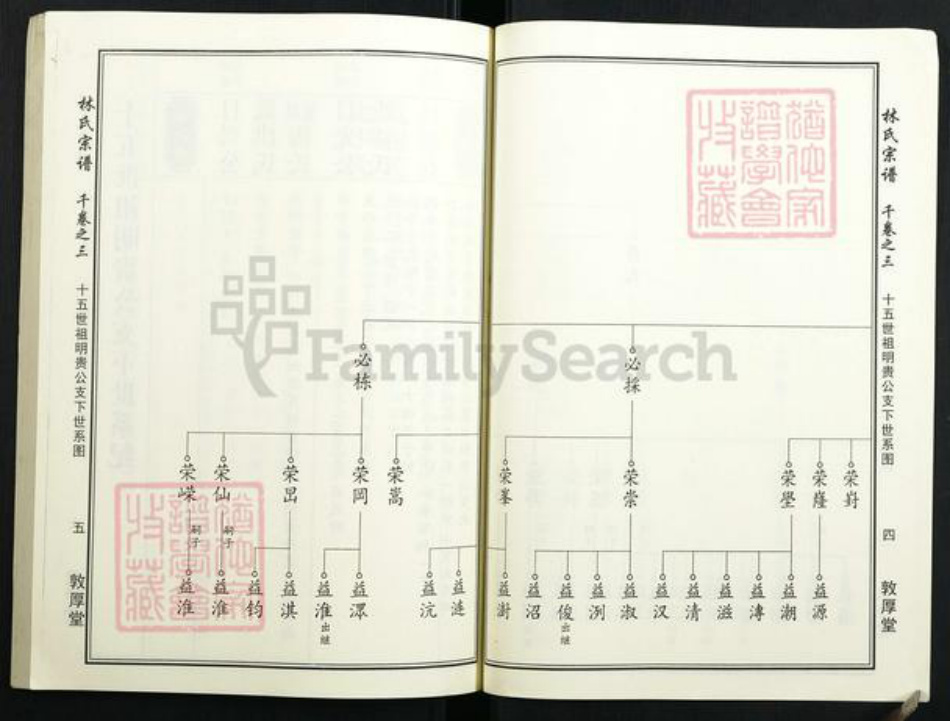 湖北省林氏族谱-林氏宗谱.pdf电子版插图5 湖北省林氏族谱-林氏宗谱.pdf电子版插图5