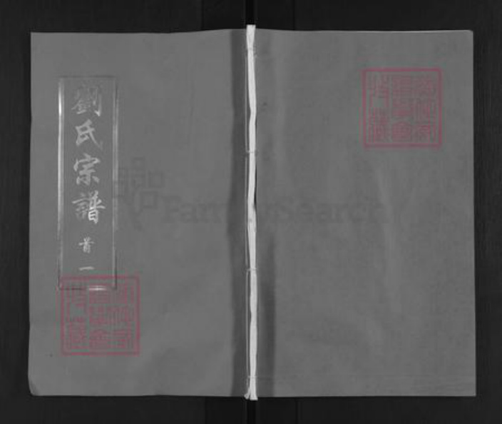 湖北省武汉市新洲区刘氏族谱-刘氏宗谱.pdf电子版插图