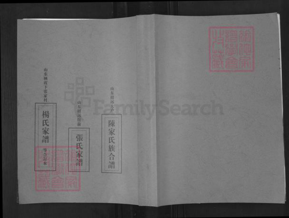 山东省烟台市招远市金岭镇刘氏族谱-大户陈家刘氏尚忠族谱.pdf电子版