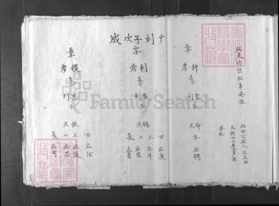 山西省吕梁市汾阳市刘氏族谱-新编刘(君刂)家谱.pdf电子版插图5