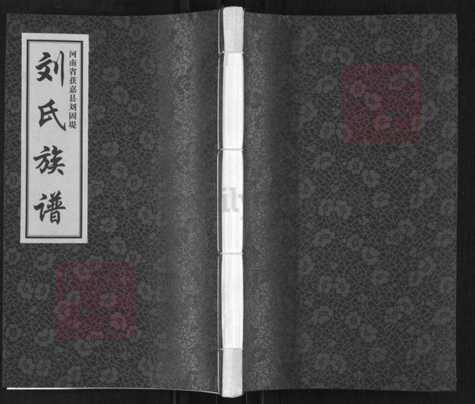 河南省新乡市获嘉县亢村镇刘氏沛国堂族谱-刘氏族谱.pdf电子版