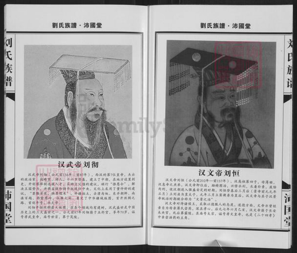 河南省新乡市获嘉县亢村镇刘氏沛国堂族谱-刘氏族谱.pdf电子版插图4