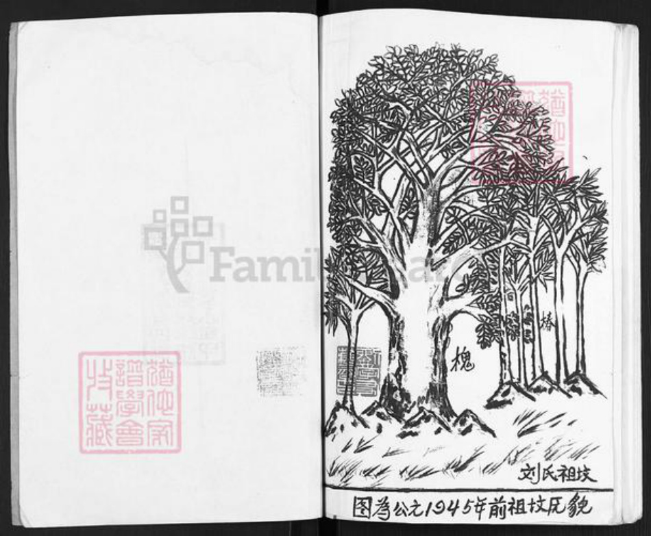 安徽省淮北濉溪县四铺镇刘氏族谱-刘氏家谱.pdf电子版插图2