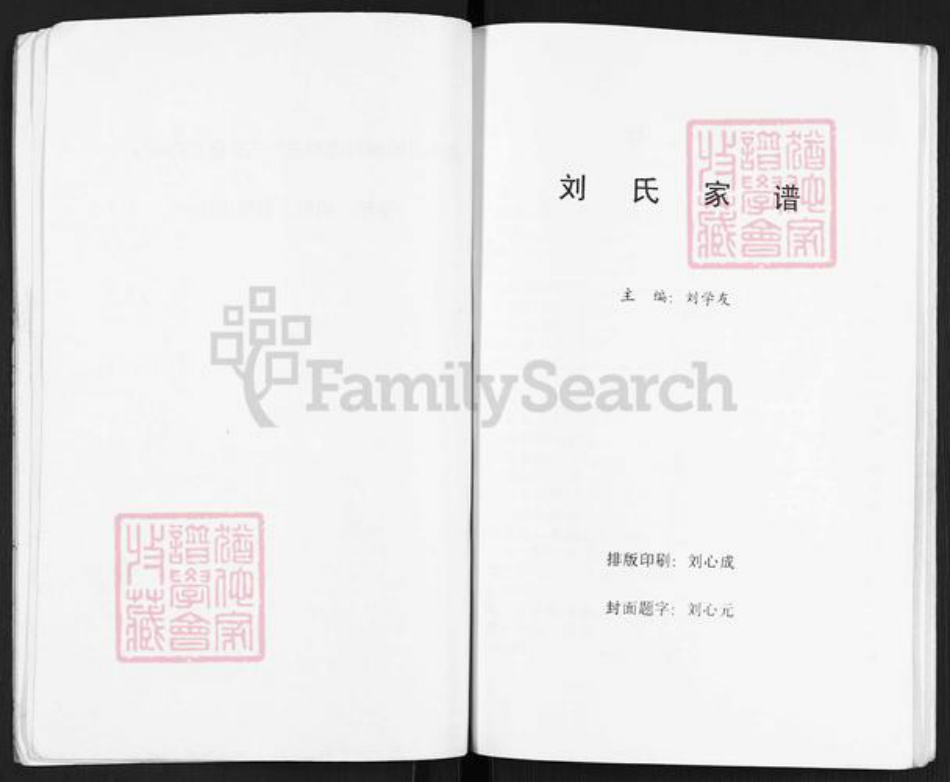 安徽省淮北濉溪县四铺镇刘氏族谱-刘氏家谱.pdf电子版插图5