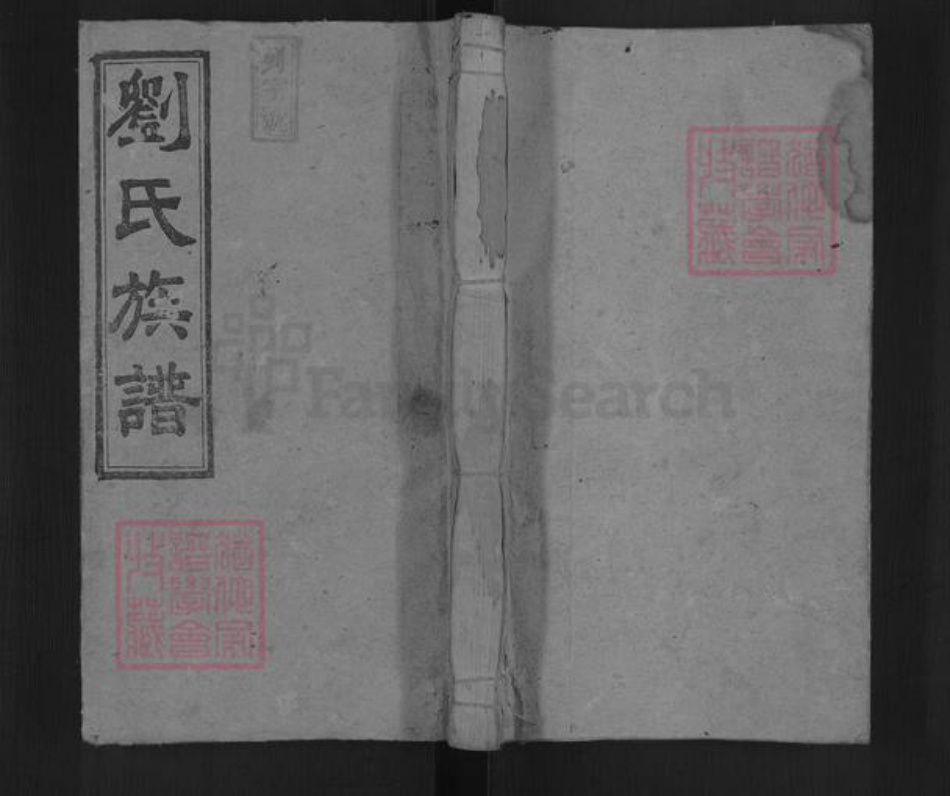 湖南省邵阳市邵东刘氏藜光堂族谱-邵陵刘氏三修族谱.pdf电子版插图