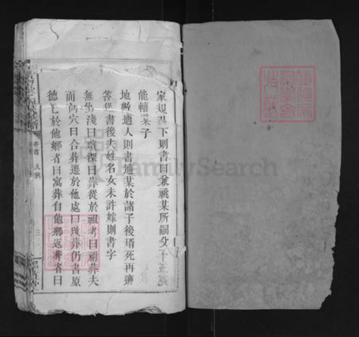 江西省宜春市袁州区刘氏墨庄堂族谱-宜阳台上刘氏族谱.pdf电子版插图1