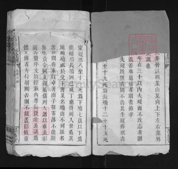 江西省宜春市袁州区刘氏墨庄堂族谱-宜阳台上刘氏族谱.pdf电子版插图2