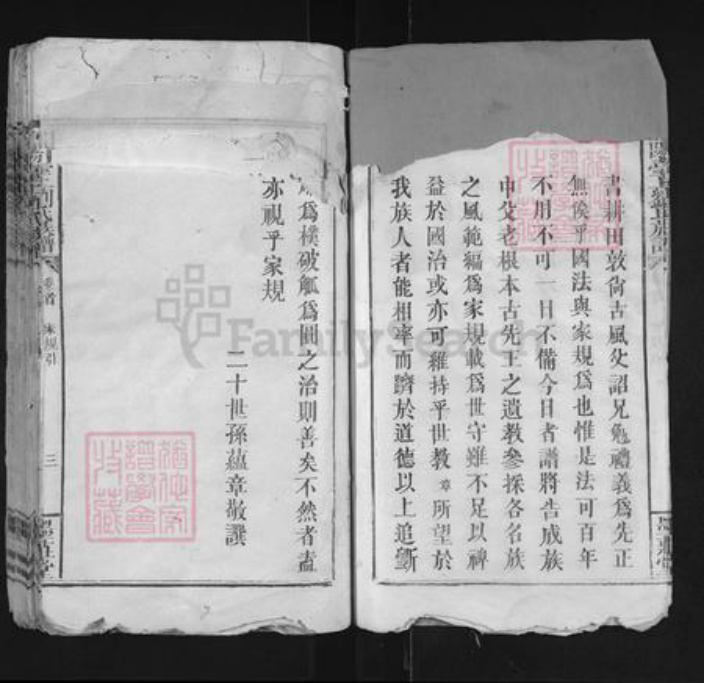 江西省宜春市袁州区刘氏墨庄堂族谱-宜阳台上刘氏族谱.pdf电子版插图5