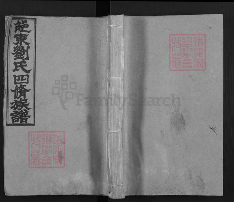 湖南省邵阳市邵东刘氏黎照堂族谱-邵东刘氏四修族谱.pdf电子版插图