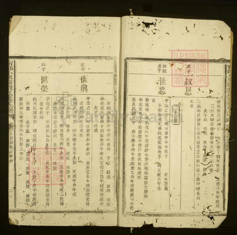 江西省赣州市宁都县刘氏族谱-宁都小东关刘氏重修族谱.pdf电子版插图2