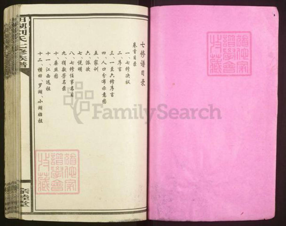 湖南省长沙市宁乡市湖南省长沙市宁乡市刘氏亲睦堂族谱-湖南宁乡田湖刘氏七修族谱.pdf电子版插图2