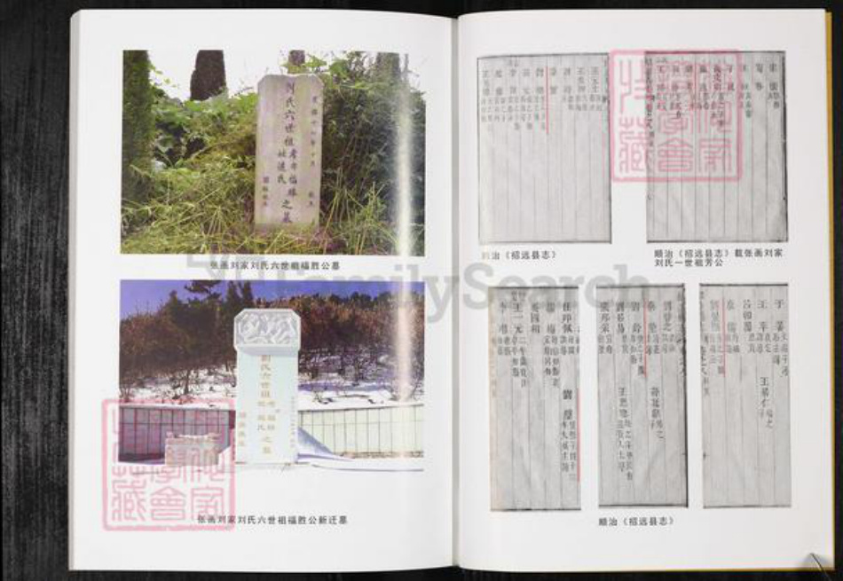 山东省烟台市招远市刘氏族谱-张画刘氏族谱.pdf电子版插图4