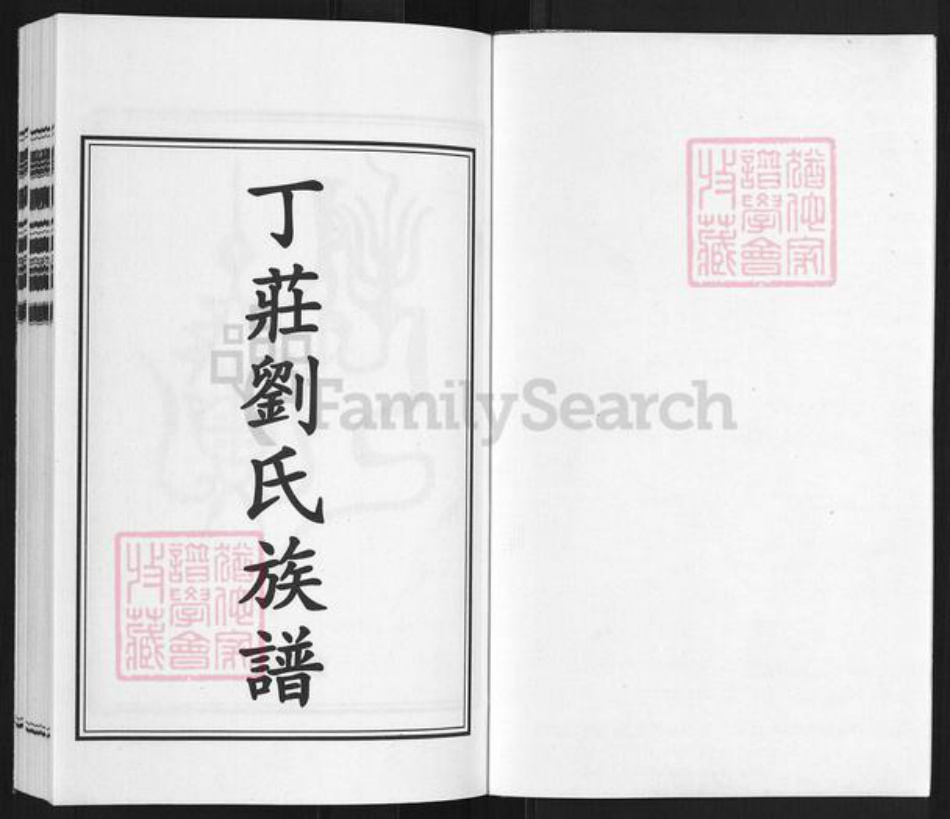 山东省淄博市高青县高城镇刘氏族谱-高苑刘氏宗谱.pdf电子版插图1