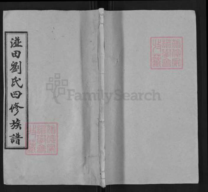 湖南省娄底市涟源市金石镇刘氏立本堂族谱-湴田刘氏四修族谱.pdf电子版