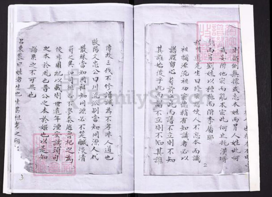 江苏省盐城市刘氏族谱-刘氏东门天禄公支谱.pdf电子版插图2