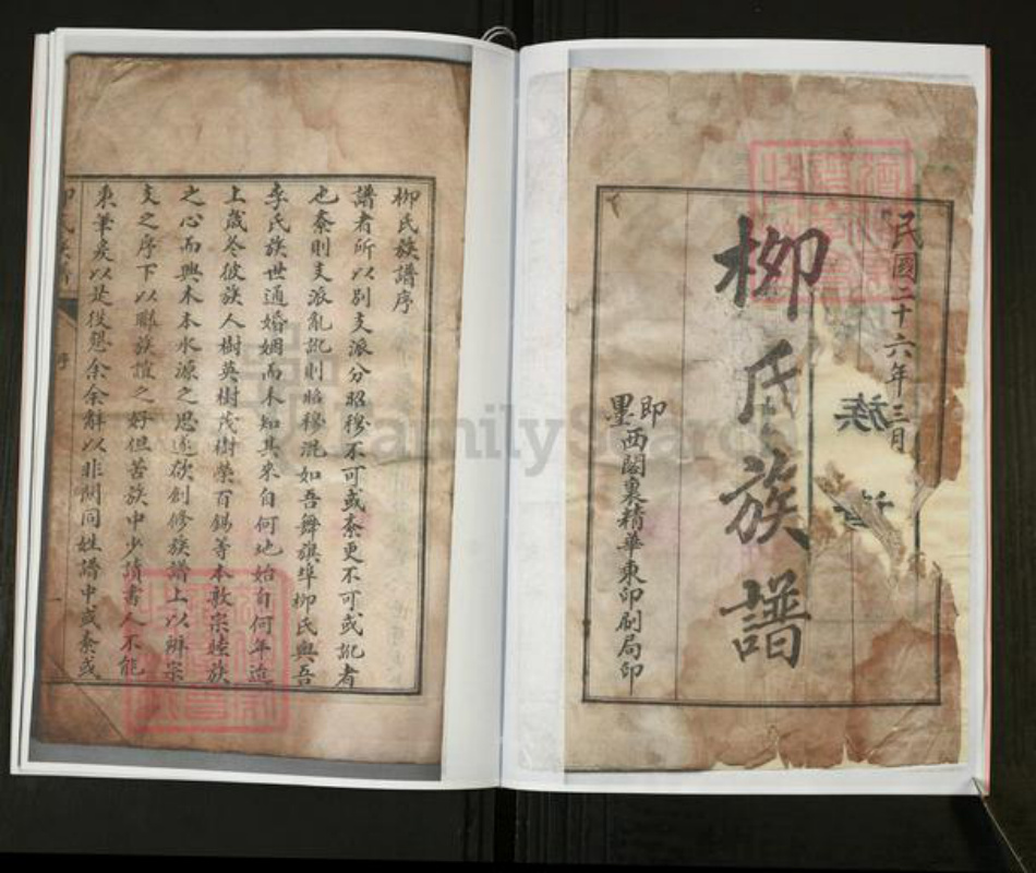 山东省青岛市即墨区柳氏河东堂族谱-柳氏族谱.pdf电子版插图5 山东省青岛市即墨区柳氏河东堂族谱-柳氏族谱.pdf电子版插图5