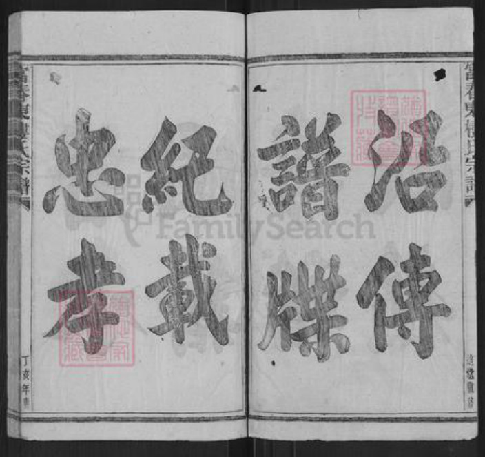 浙江省杭州市富阳楼氏惠迪堂族谱-富春东楼氏宗谱.pdf电子版插图2