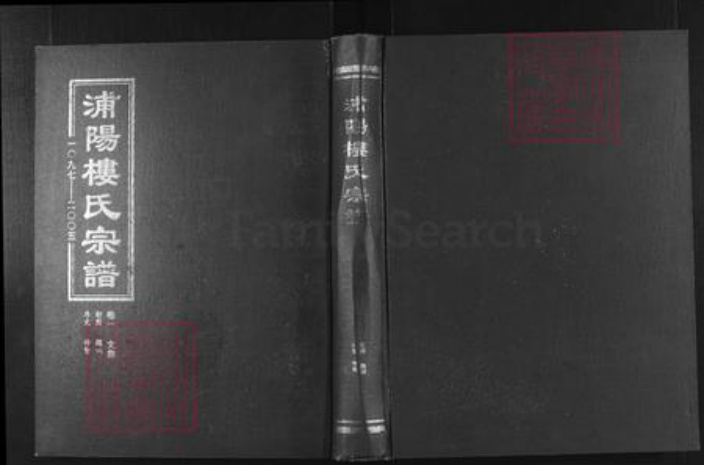 浙江省金华市浦江县楼氏族谱-浦阳楼氏宗谱.pdf电子版