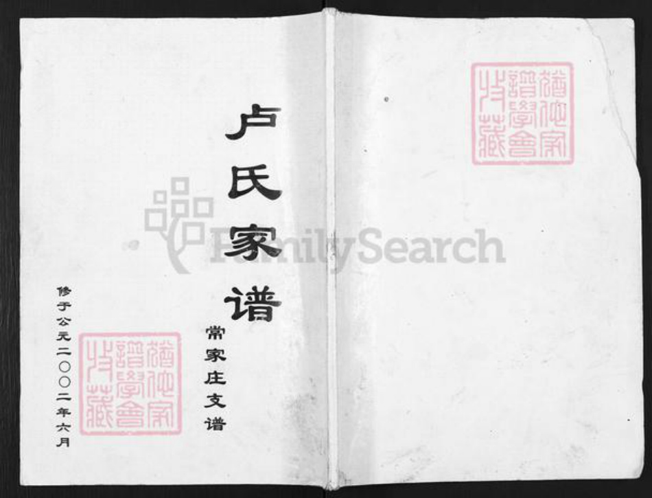 山东省滨州市沾化区卢氏族谱-卢氏家谱.常家庄支谱.pdf电子版