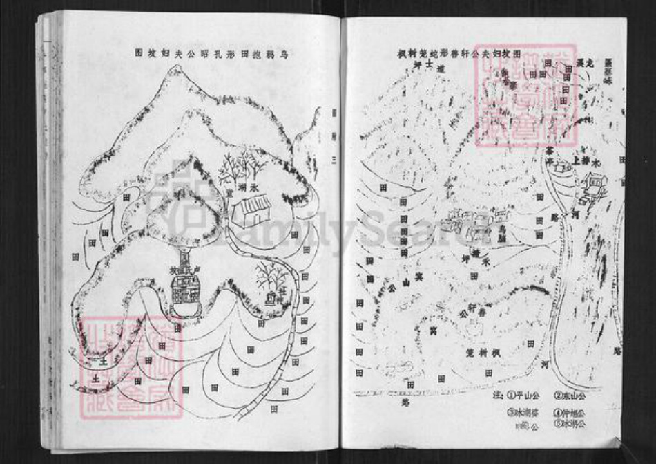 江西省赣州市于都县仙下乡江西省卢;卢氏族谱-于都莲塘卢氏族谱.pdf电子版插图1 江西省赣州市于都县仙下乡江西省卢;卢氏族谱-于都莲塘卢氏族谱.pdf电子版插图1