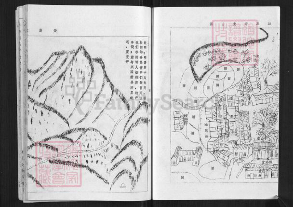 江西省赣州市于都县仙下乡江西省卢;卢氏族谱-于都莲塘卢氏族谱.pdf电子版插图4 江西省赣州市于都县仙下乡江西省卢;卢氏族谱-于都莲塘卢氏族谱.pdf电子版插图4