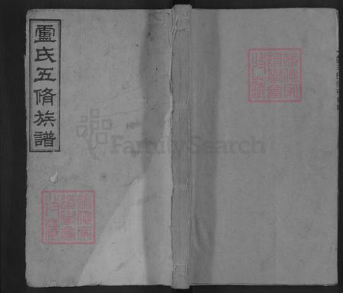 湖南省邵阳市卢氏雅俗堂族谱-卢氏五修族谱.pdf电子版