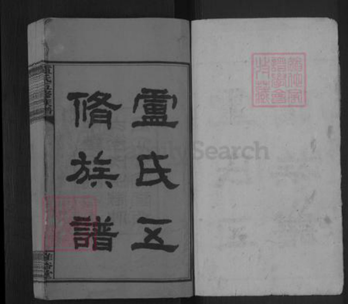 湖南省邵阳市卢氏雅俗堂族谱-卢氏五修族谱.pdf电子版插图1