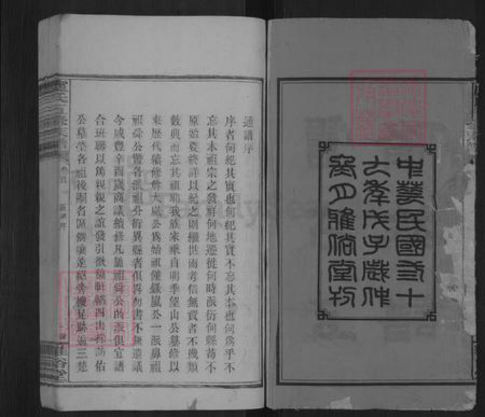 湖南省邵阳市卢氏雅俗堂族谱-卢氏五修族谱.pdf电子版插图2