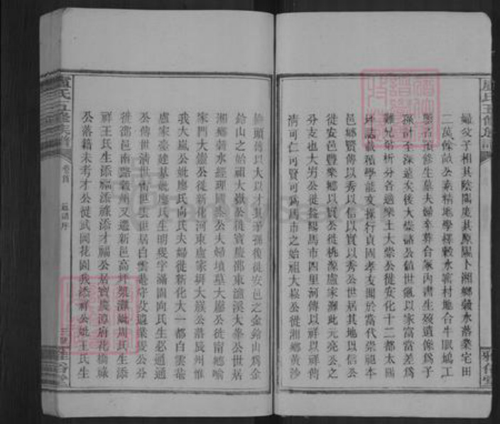 湖南省邵阳市卢氏雅俗堂族谱-卢氏五修族谱.pdf电子版插图4