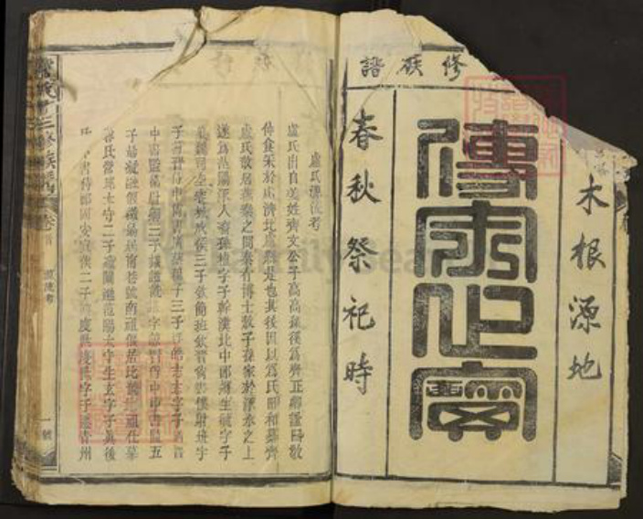 江西省宜春市丰城市卢氏敦本堂族谱-卢氏十三修族谱.pdf电子版插图2