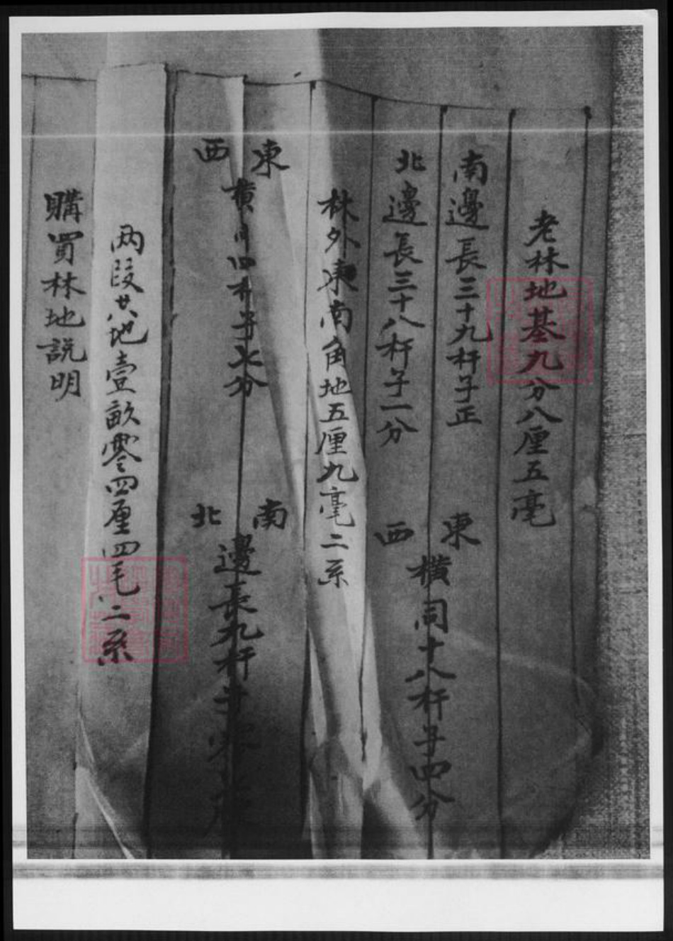 山东省泰安市宁阳县卢氏族谱-山东宁阳卢氏族谱.pdf电子版插图3