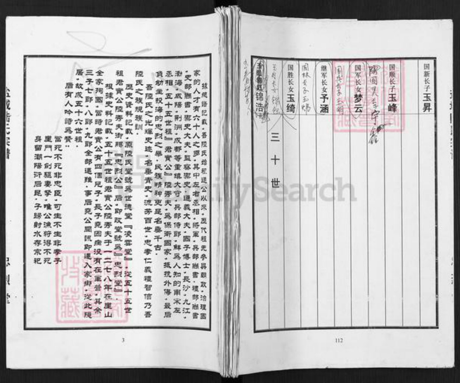 江苏省镇江市丹徒区陆氏忠烈堂族谱-盐城陆氏宗谱(含盐城王氏宗谱).pdf电子版