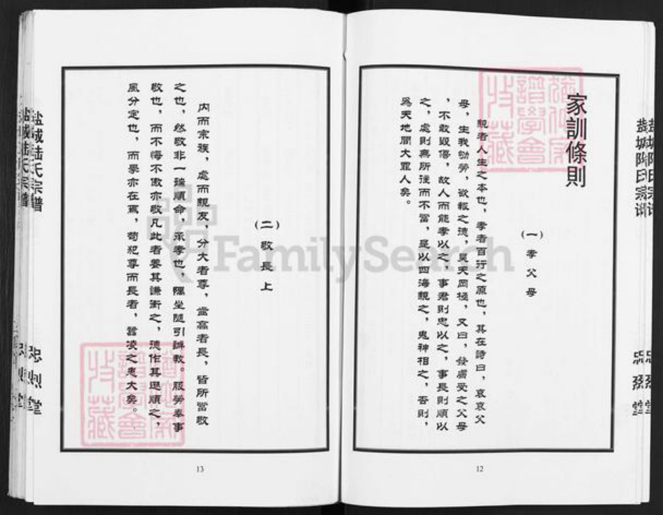 江苏省镇江市丹徒区陆氏忠烈堂族谱-盐城陆氏宗谱(含盐城王氏宗谱).pdf电子版插图5