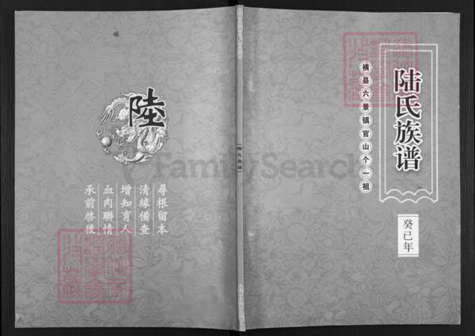 广西壮族自治区南宁市横县六景镇陆氏族谱-陆氏族谱.pdf电子版插图 广西壮族自治区南宁市横县六景镇陆氏族谱-陆氏族谱.pdf电子版插图