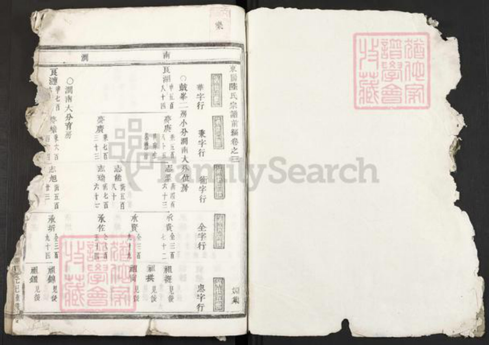 浙江省金华市东阳市陆氏族谱-东阳陆氏宗谱.pdf电子版插图1