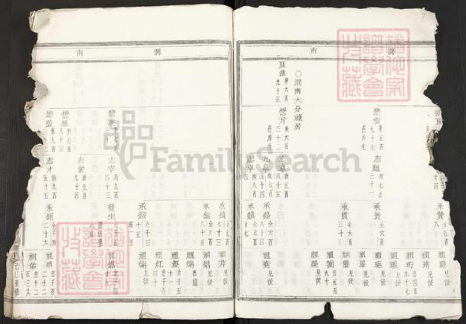 浙江省金华市东阳市陆氏族谱-东阳陆氏宗谱.pdf电子版插图4