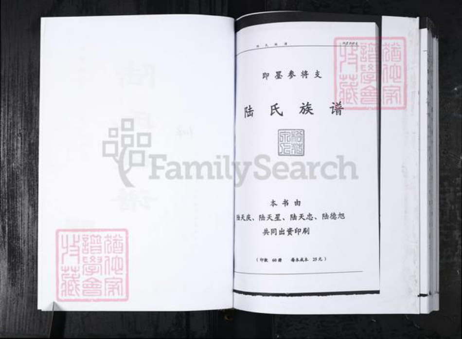 山东省青岛市陆氏族谱-陆氏族谱.即墨宋化泉.pdf电子版插图2