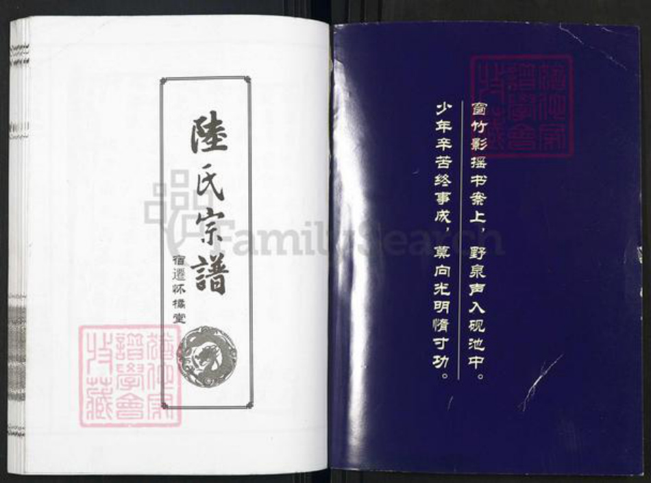 江苏省宿迁市陆氏怀橘堂族谱-陆氏族谱.pdf电子版插图1