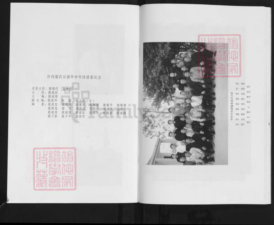 山东省临沂市沂水县沙沟镇鹿氏族谱-沙沟鹿氏宗谱.pdf电子版插图2