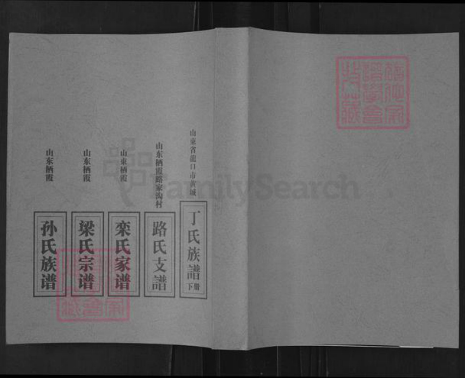 山东省烟台市栖霞市栾氏族谱-栖霞市水道观后庄栾氏家谱.pdf电子版