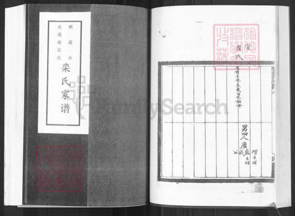 山东省烟台市栖霞市栾氏族谱-栖霞市水道观后庄栾氏家谱.pdf电子版插图1