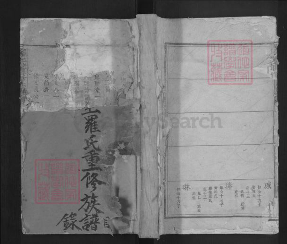 广东省梅州市兴宁市大坪镇罗氏豫章堂族谱-罗氏重修族谱.pdf电子版插图