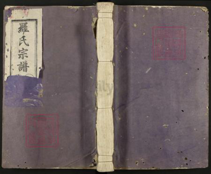 江西省吉安市吉水县阜田镇罗氏族谱-罗氏宗谱.pdf电子版