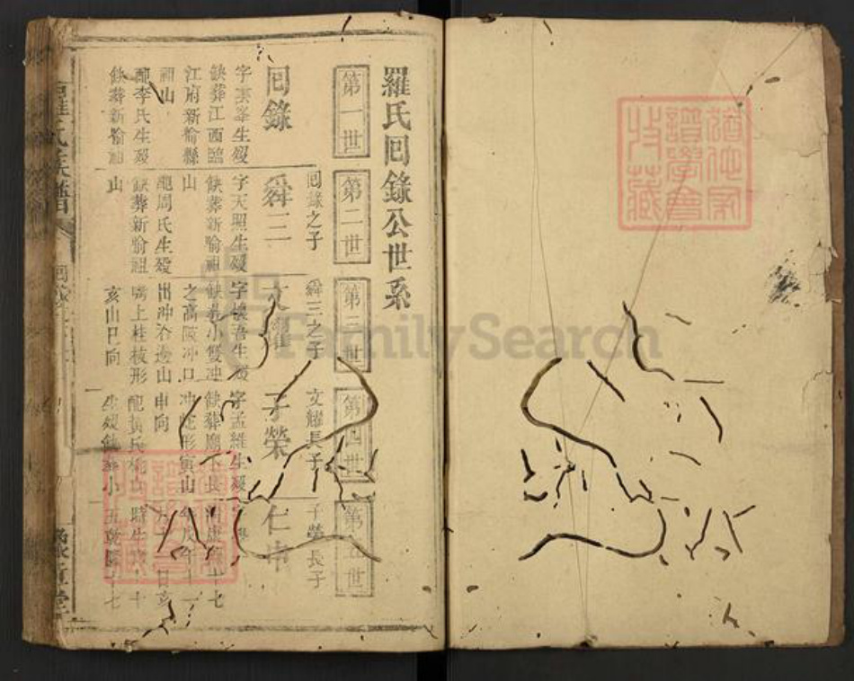 江西省新余市渝水区罗氏豫章堂族谱-罗氏族谱.pdf电子版插图1