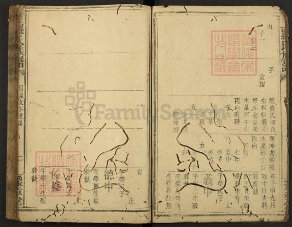 江西省新余市渝水区罗氏豫章堂族谱-罗氏族谱.pdf电子版插图2