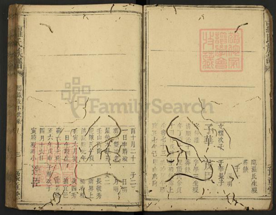 江西省新余市渝水区罗氏豫章堂族谱-罗氏族谱.pdf电子版插图3