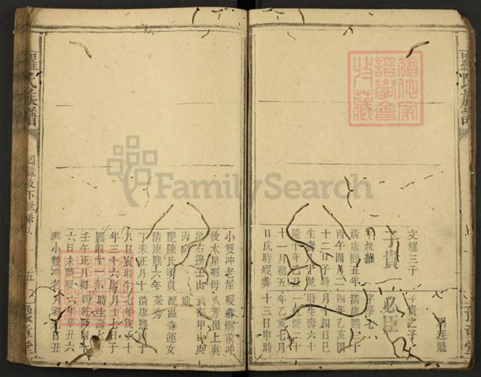 江西省新余市渝水区罗氏豫章堂族谱-罗氏族谱.pdf电子版插图5