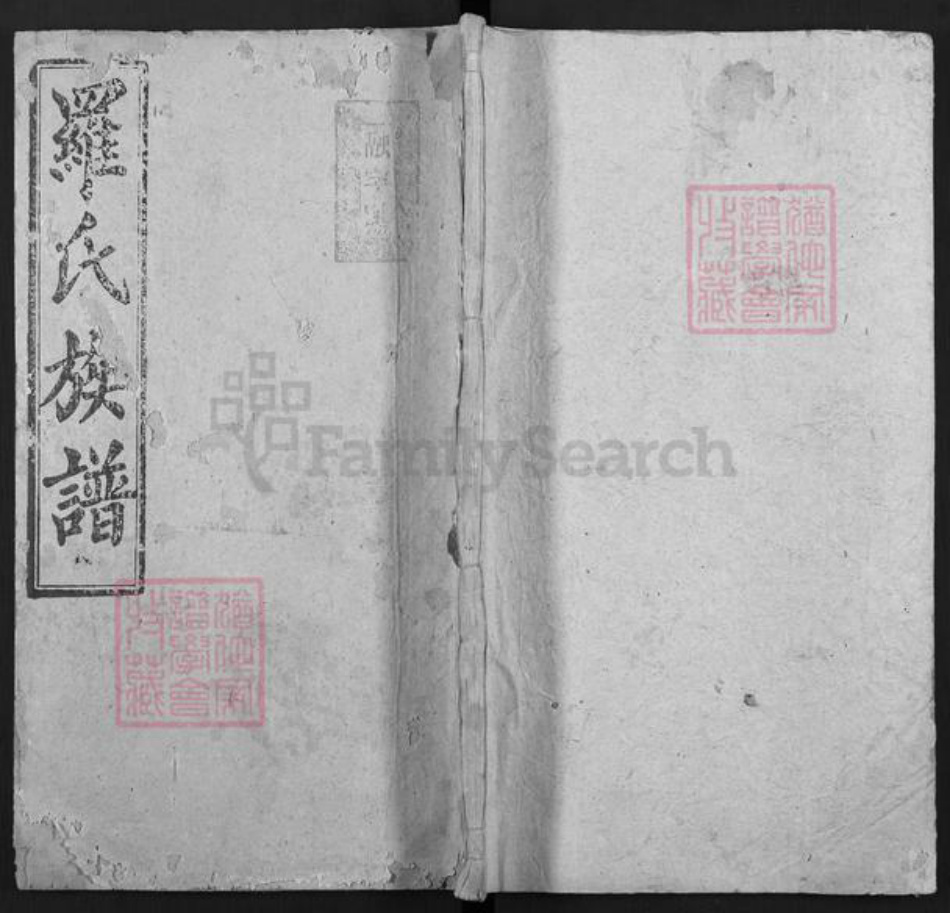 湖南省衡阳市常宁市罗氏孝友堂族谱-罗氏族谱.pdf电子版